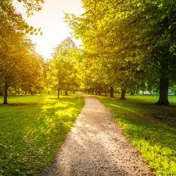 Verde Pubblico e Parchi Urbani - Fontane Ornamentali